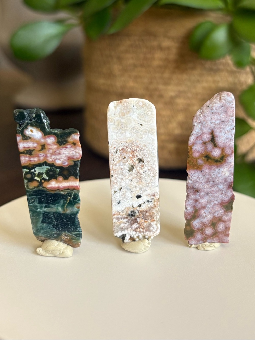 Ocean Jasper Crystal Set - Polished Sea Jasper Bundle